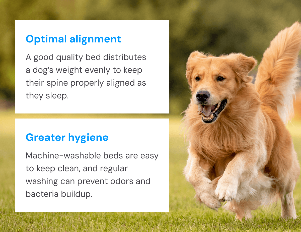 Optimal alignment and Greater hygiene