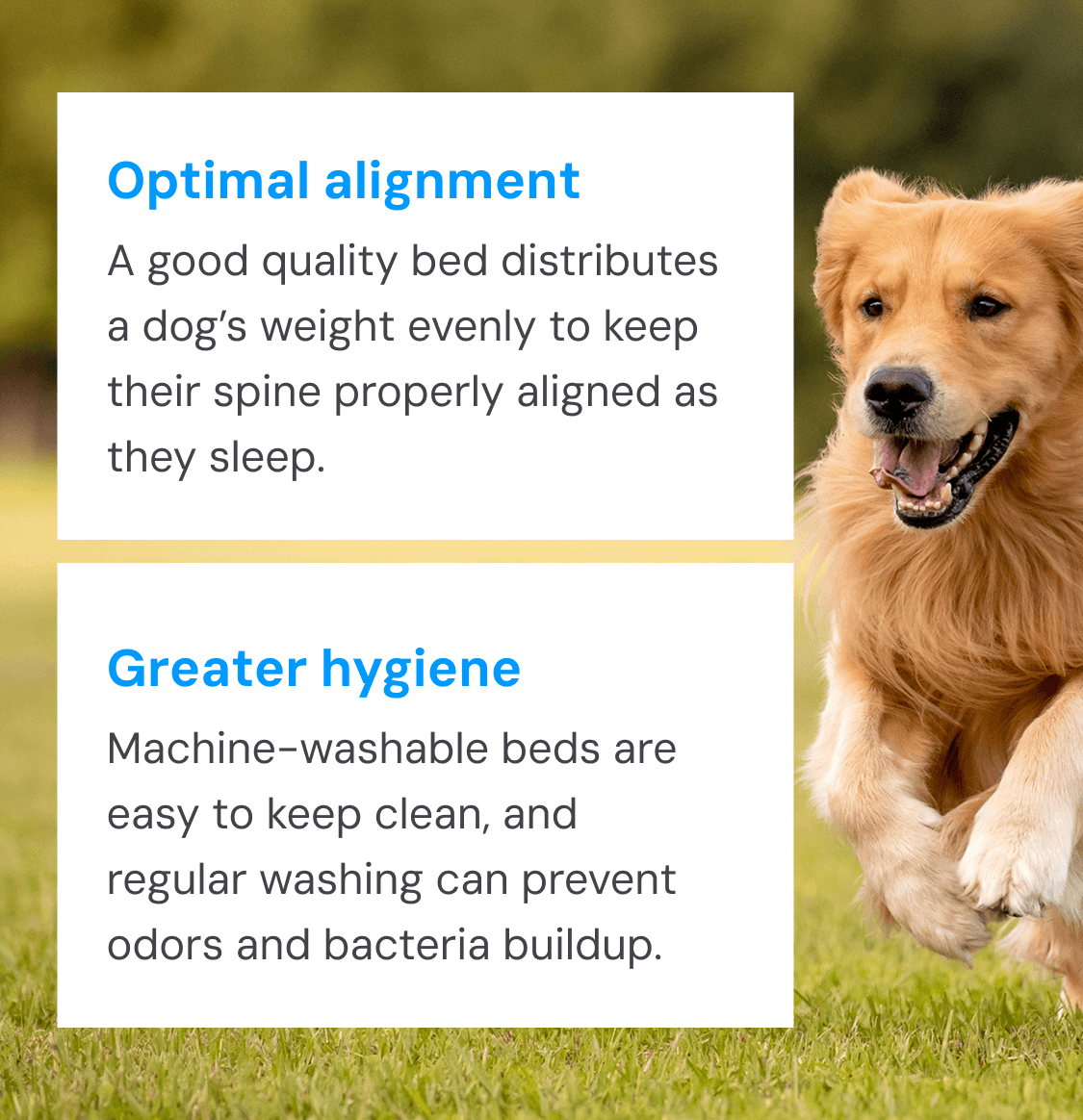 Optimal alignment and Greater hygiene