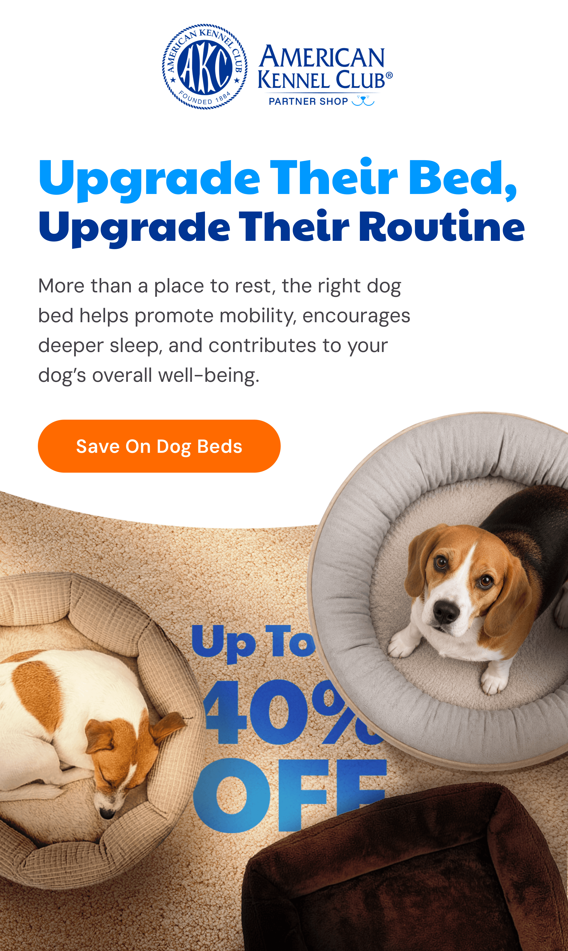 Upgrade Their Bed, Upgrade Their Routine