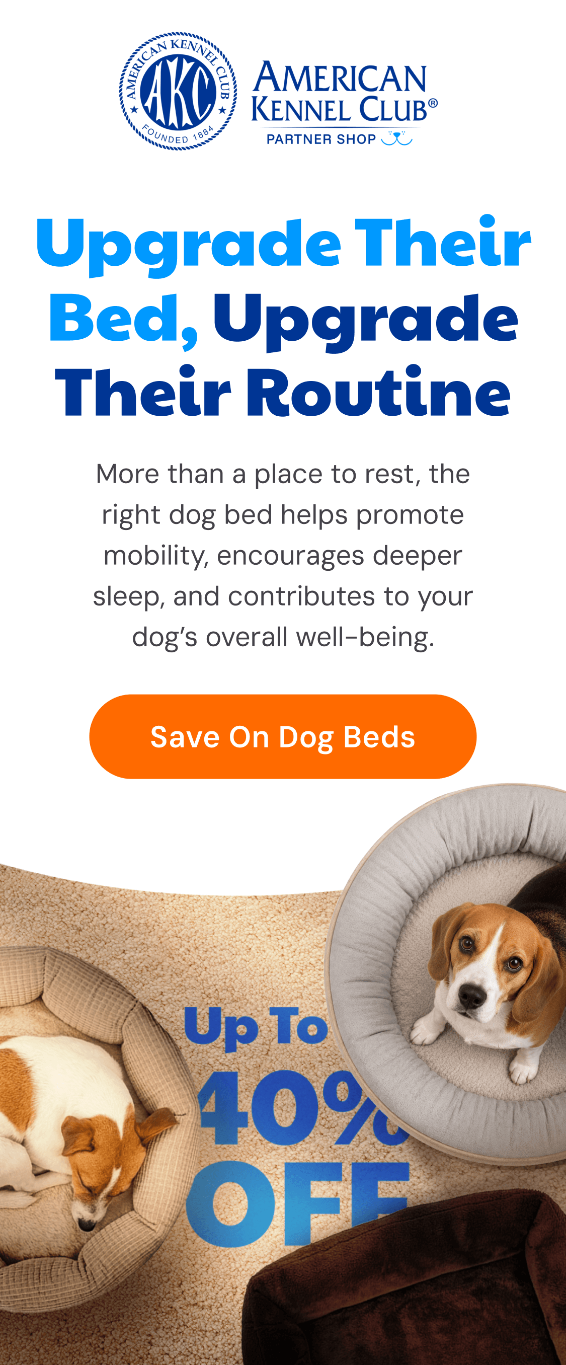 Upgrade Their Bed, Upgrade Their Routine
