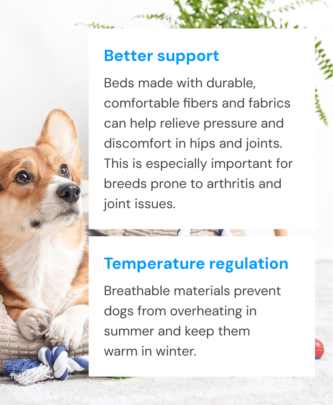 Better support and Temperature regulation