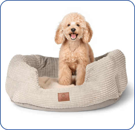 Clamshell Cuddler Plush Dog Bed