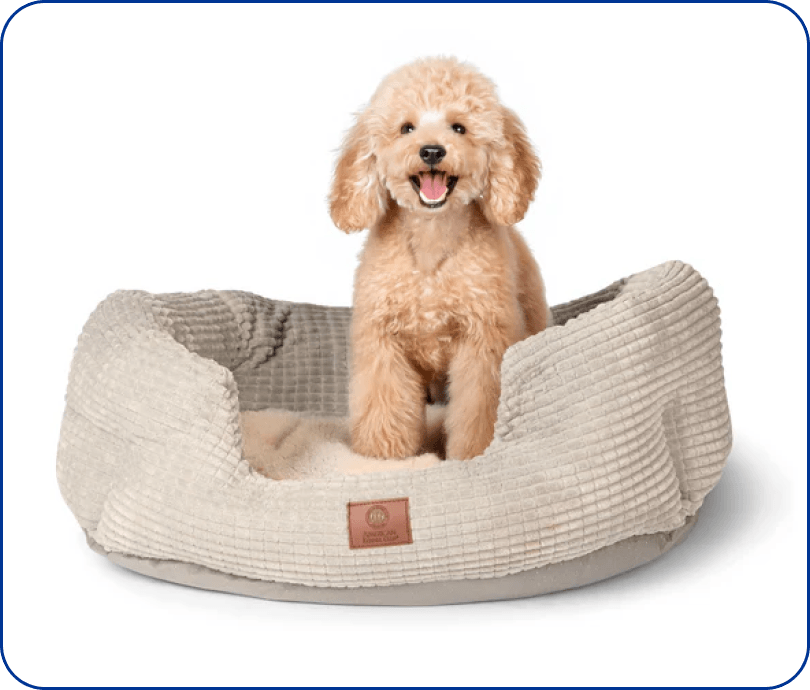 Clamshell Cuddler Plush Dog Bed